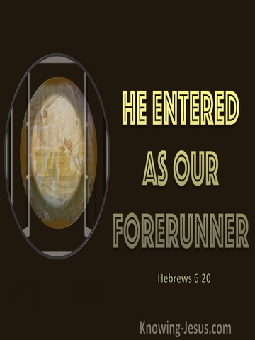 Hebrews 6:20 He Entered As Our Forerunner (yellow) 